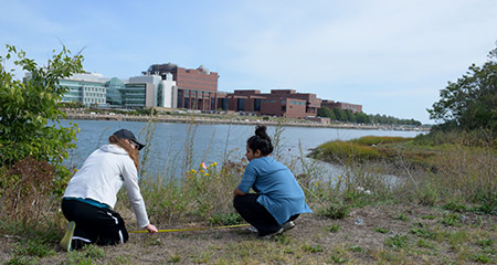 measurefognet_ghp_sep15_ll_tops.jpg