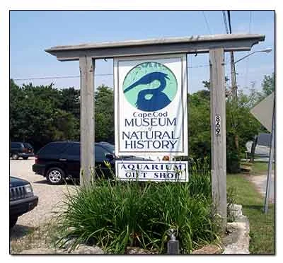 Exhibition Opening for BNE community