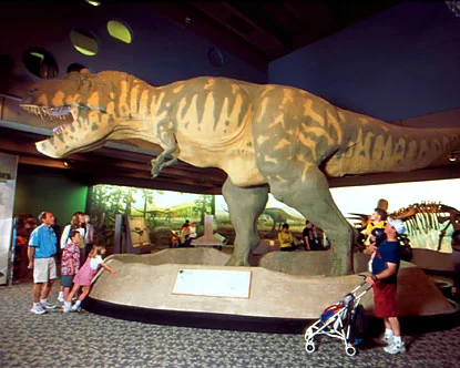 Biomimicry Lecture by Peter Lawrence