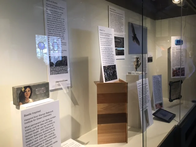 "Innovations Inspired by Nature" Exhibit at the Cape Code Museum of Natural History