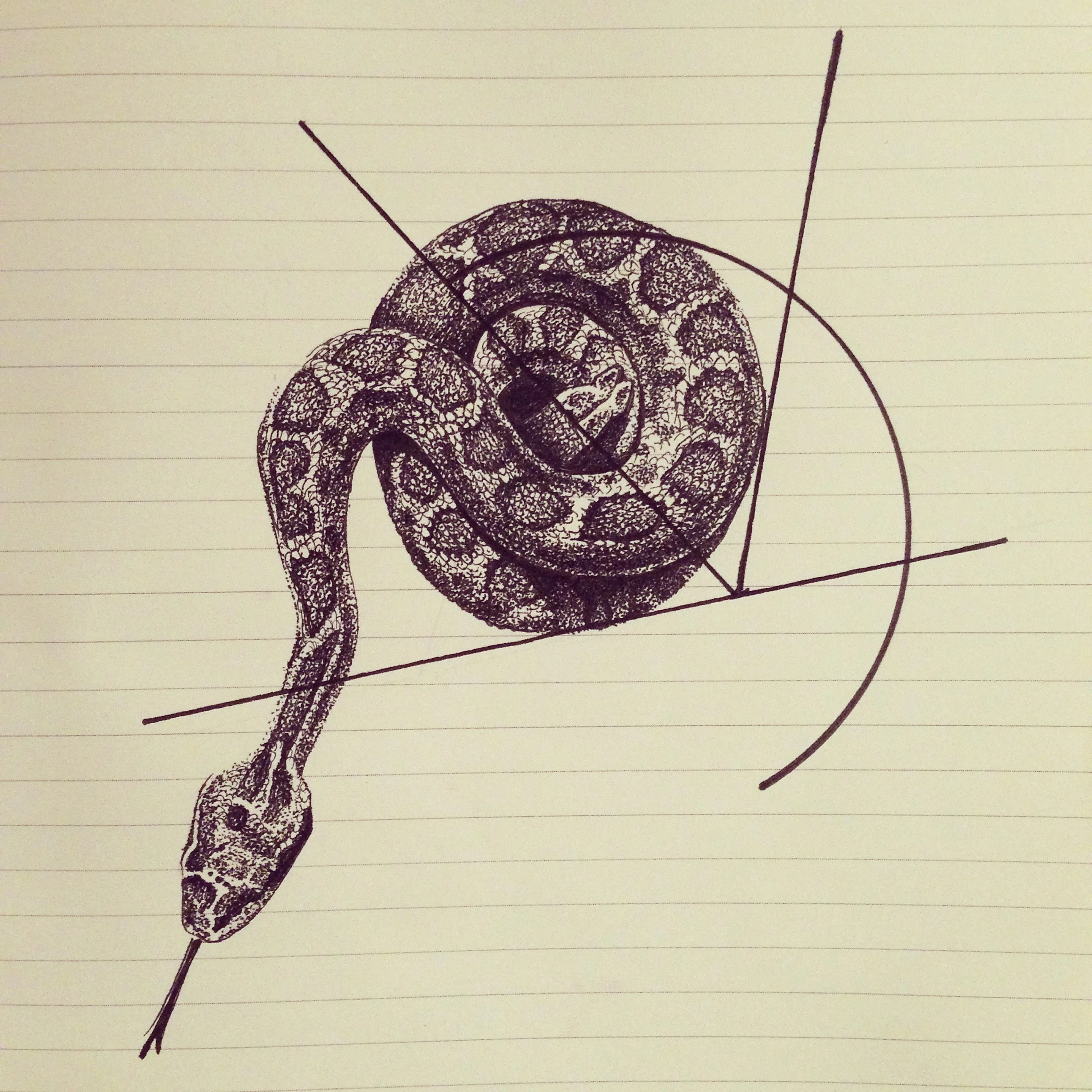  snake no. l 