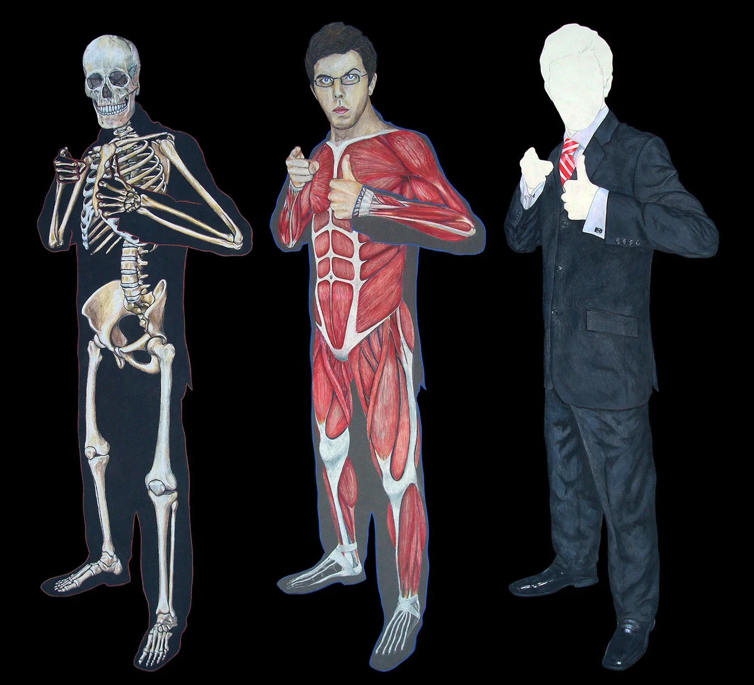    I AM STEPHEN COLBERT (AND SO CAN YOU!)   2008. [Skeleton Rendering] Colored pencil on black illustration board, 11" X 33". [Muscle / Skin Rendering] Colored pencil on gray illustration board, 11" X 33". [Suit Rendering] Colored pencil on white ill