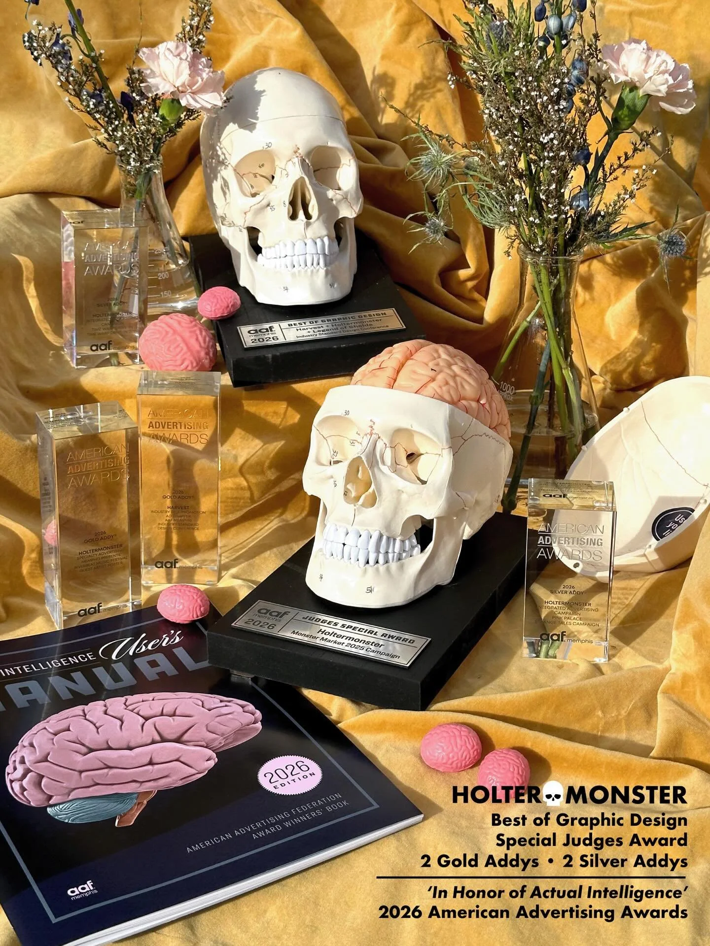 So very proud to share that all five of the projects I entered into the American Advertising Awards this year won something!!!✨🏆

Also so very stoked to have a collaborative win this year alongside my pals Ronnie and Shelda, perhaps the first time 3