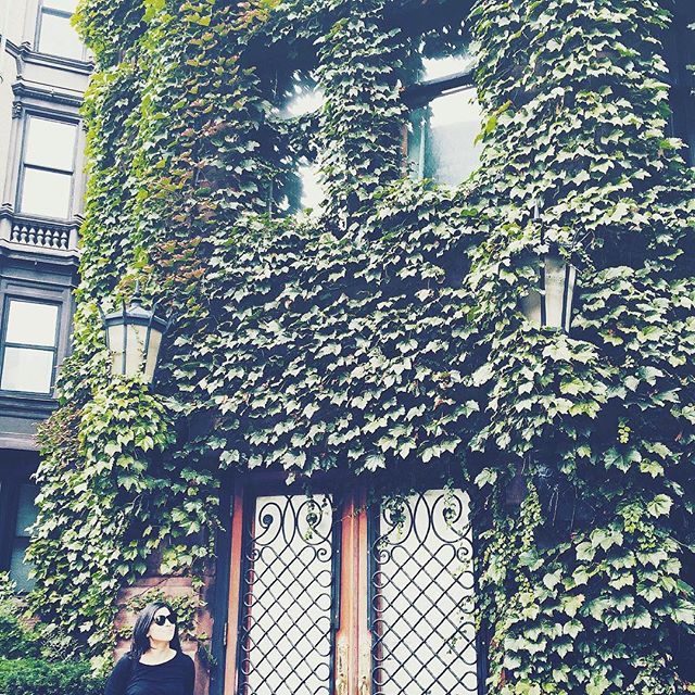 #old #brick #building #crafty #wood #iron #doors #green #wall #plants #nature #like #neat #oh #so #kewl