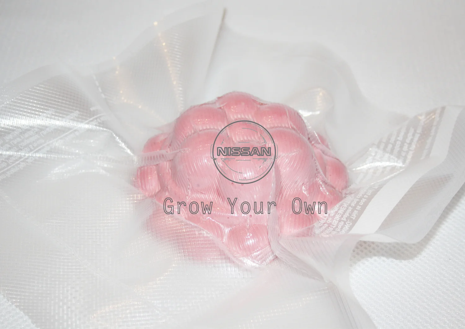 Nissan Grow Your Own.jpeg