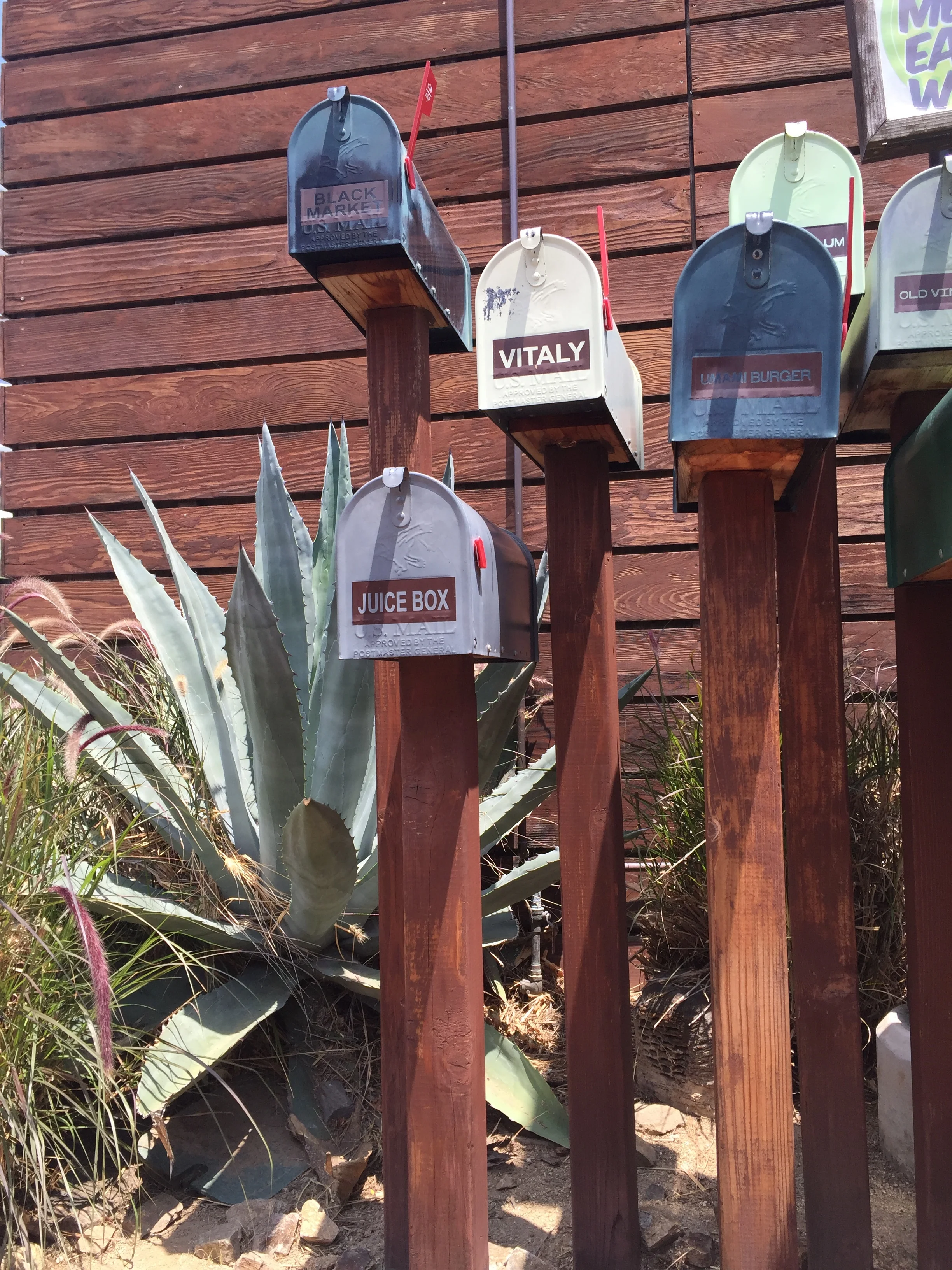 the camp orange county