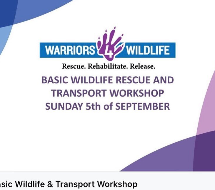 Warriors 4 Wildlife are looking to recruit passionate and dedicated rescue and transport volunteers!

We will be holding two Basic Wildlife Rescue and Transport workshops on the 5th and 11th of September and a Flying Fox Rescue Workshop on the 18th o