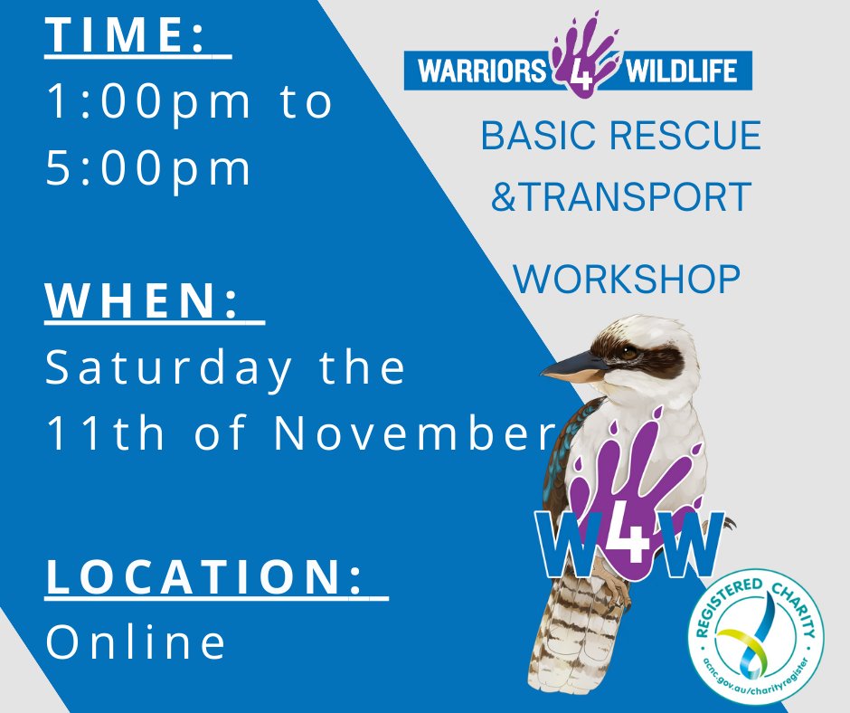 rescue-workshops-warriors-4-wildlife