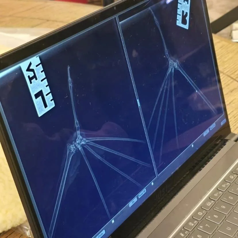 574961693_810451658397501_1134381203824889210_n.jpg