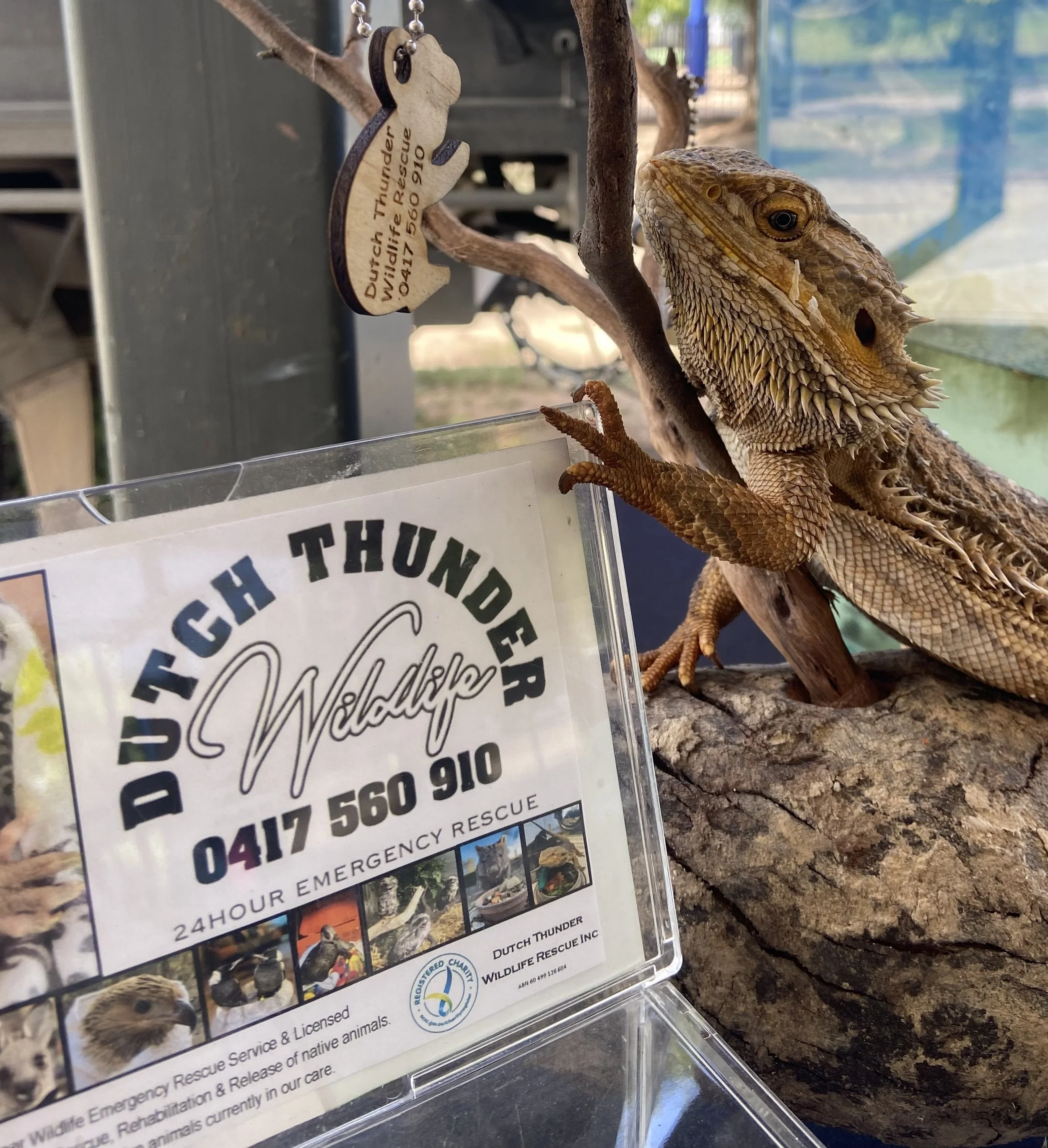 IMG_4243 - Kylee Donkers.jpeg