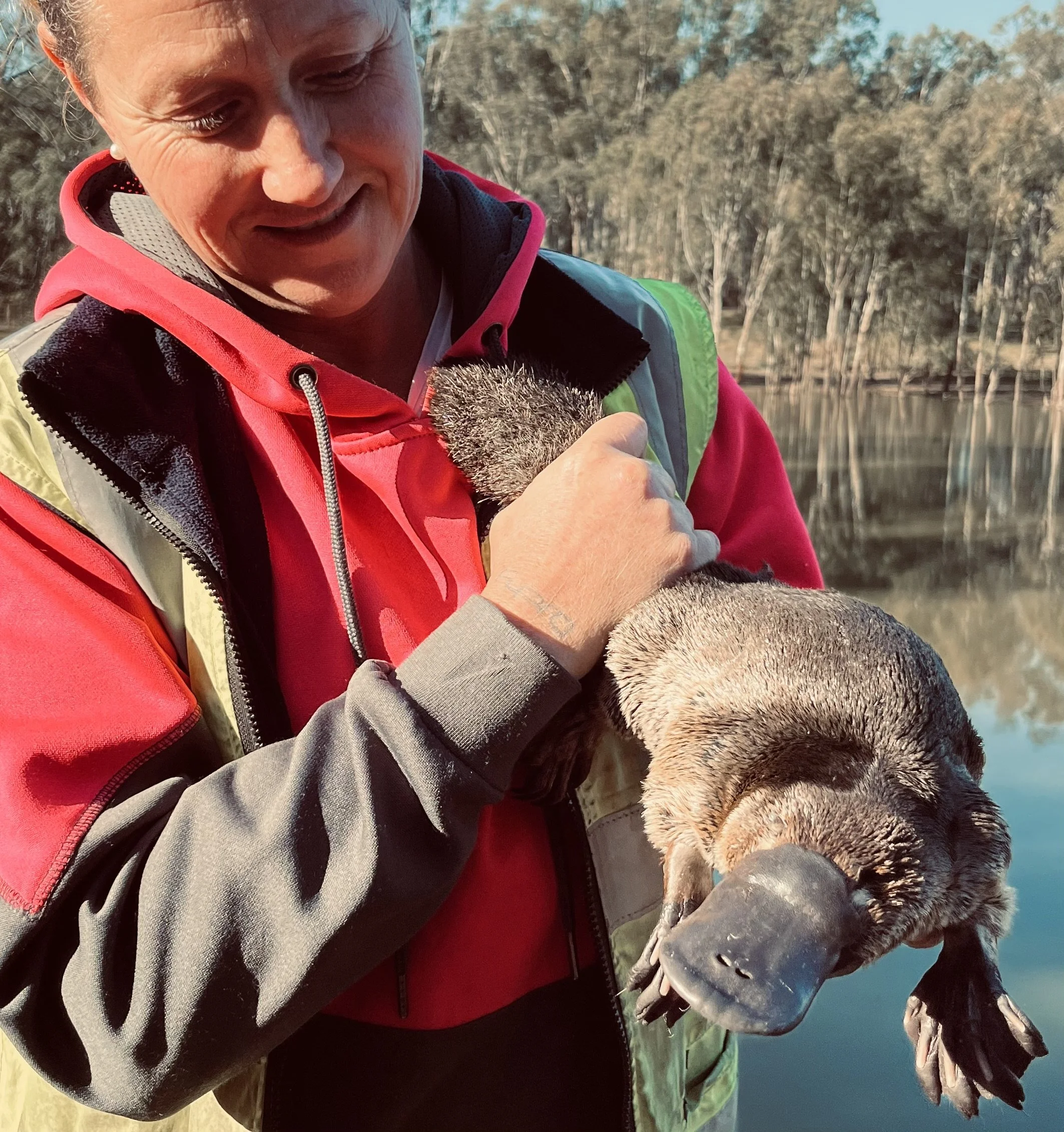 IMG_1075 - Kylee Donkers.jpeg