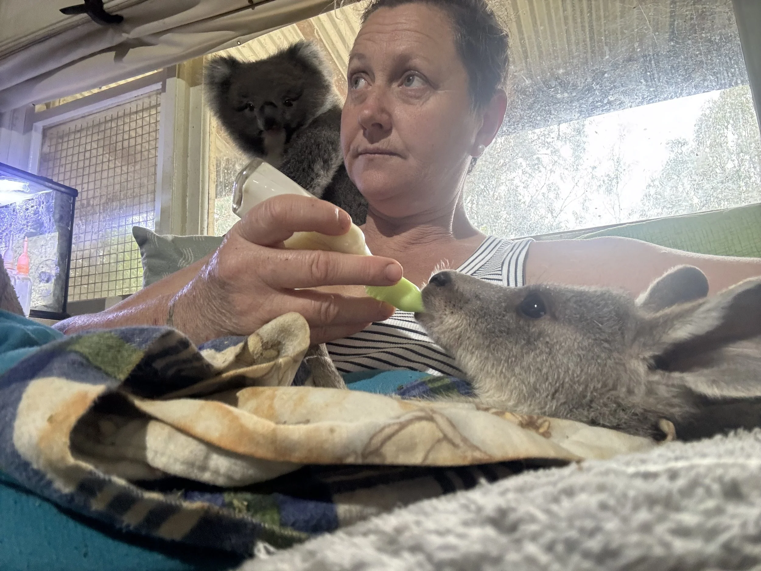 IMG_7887 - Kylee Donkers.jpeg