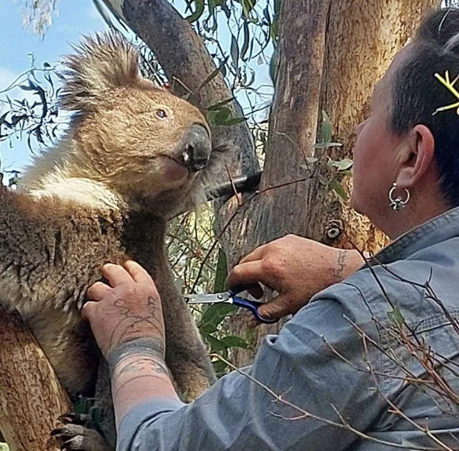 IMG_0439 - Kylee Donkers.jpeg