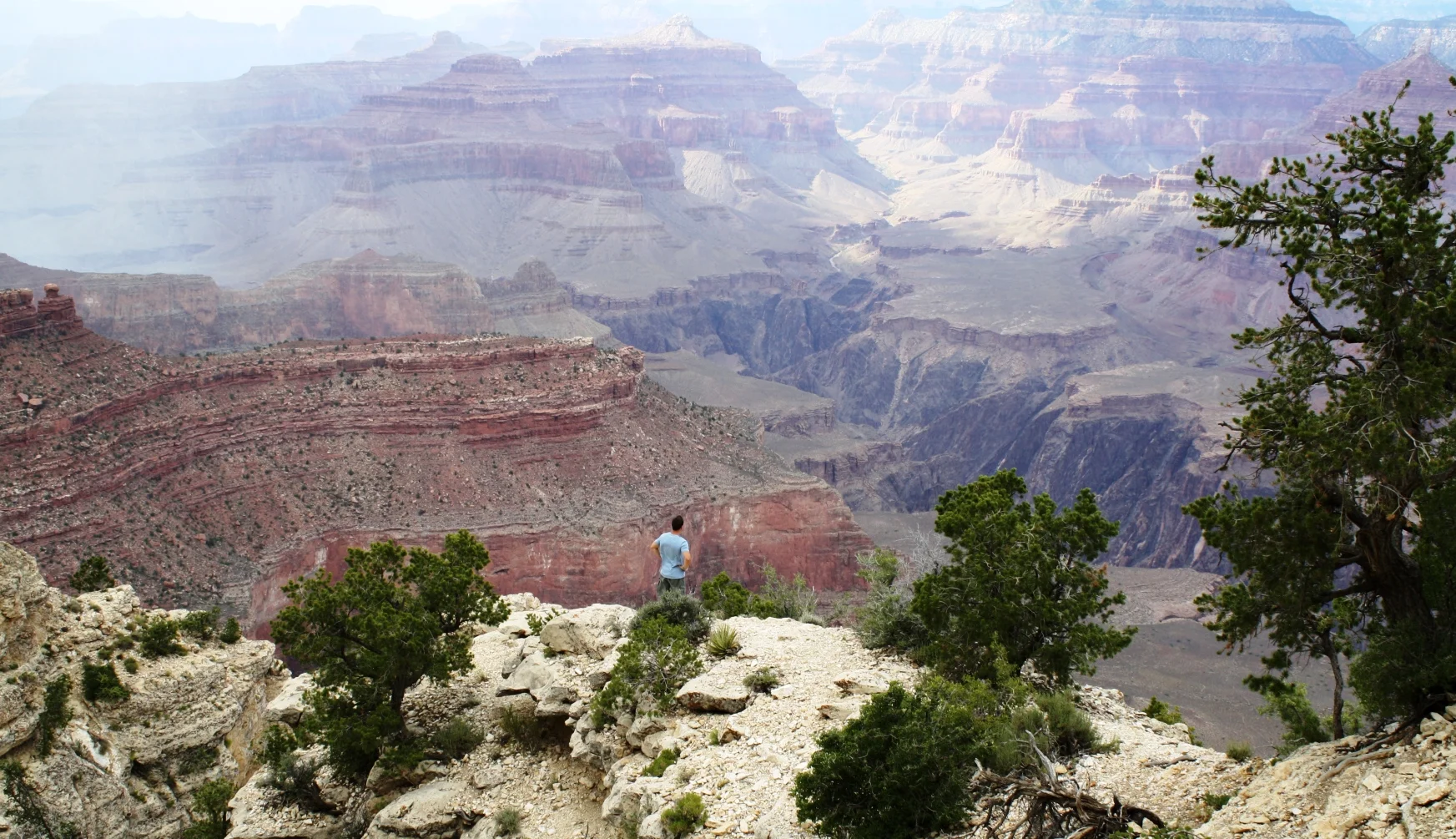 ALL 1 612SmallWeb2.jpg