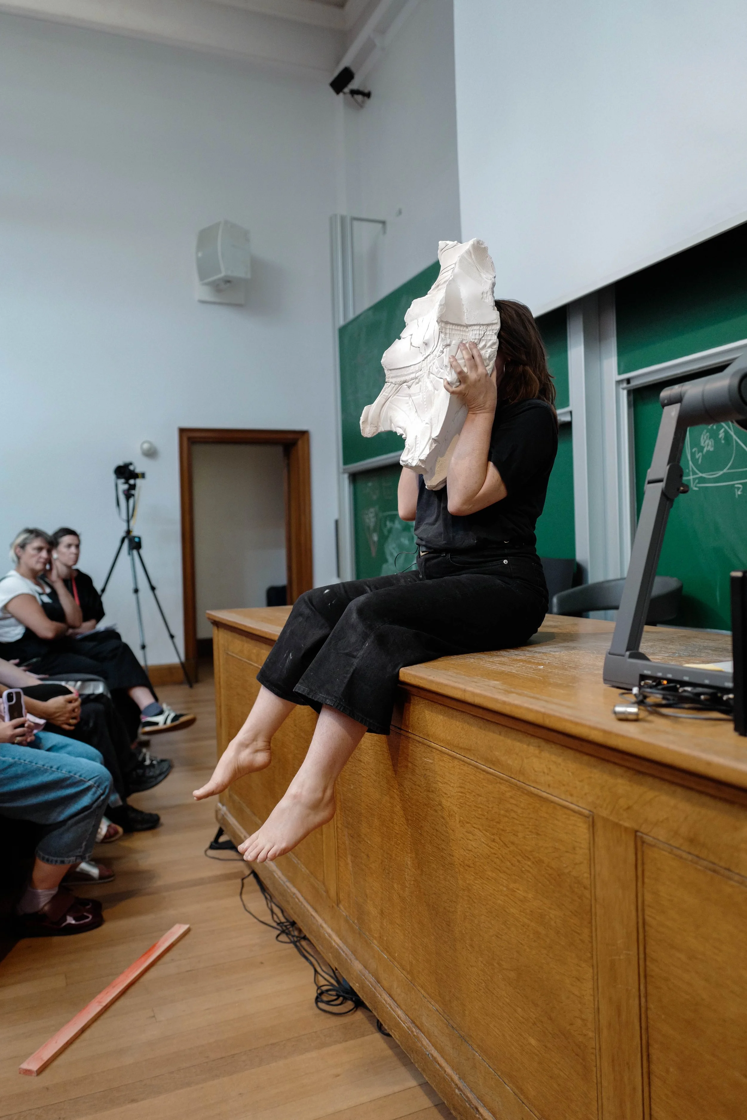 Copy of TPWAIPSConference_FPeake-commission-6_photo_EllieTang.jpg