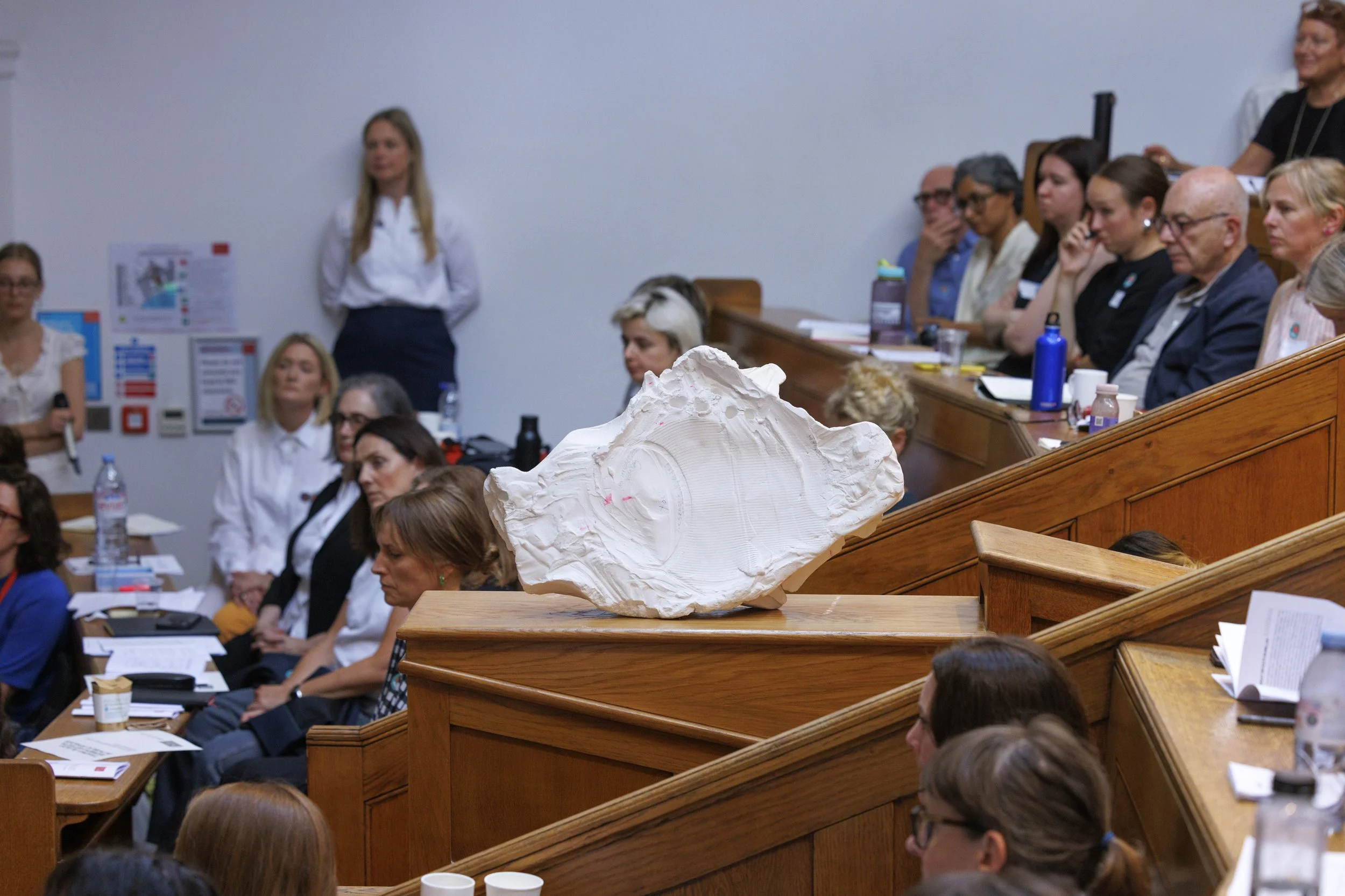 Copy of TPWAIPSConference_FPeake-commission-5_photo-NickTurpin.JPG