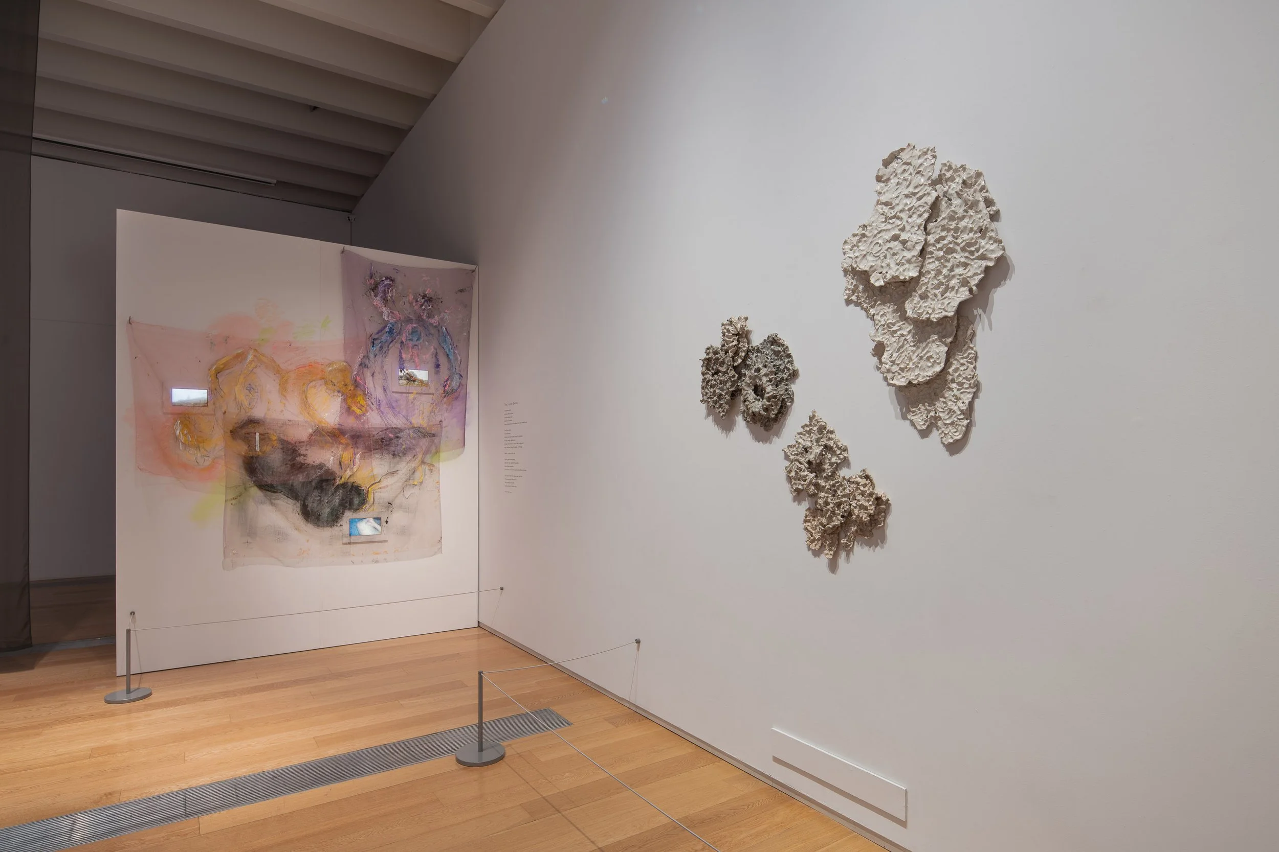 Florence Peake, The Lichen Exists, ceramic, vdieo and chiffon, commissioned by RAMM for Earth Spells at RAMM, Exeter, 2023.jpg