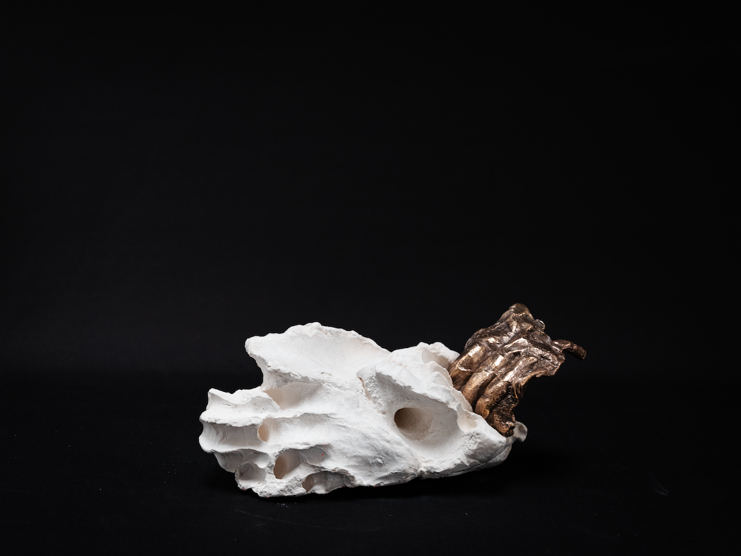 Vitalities Exhibition at HOME, Manchester 
