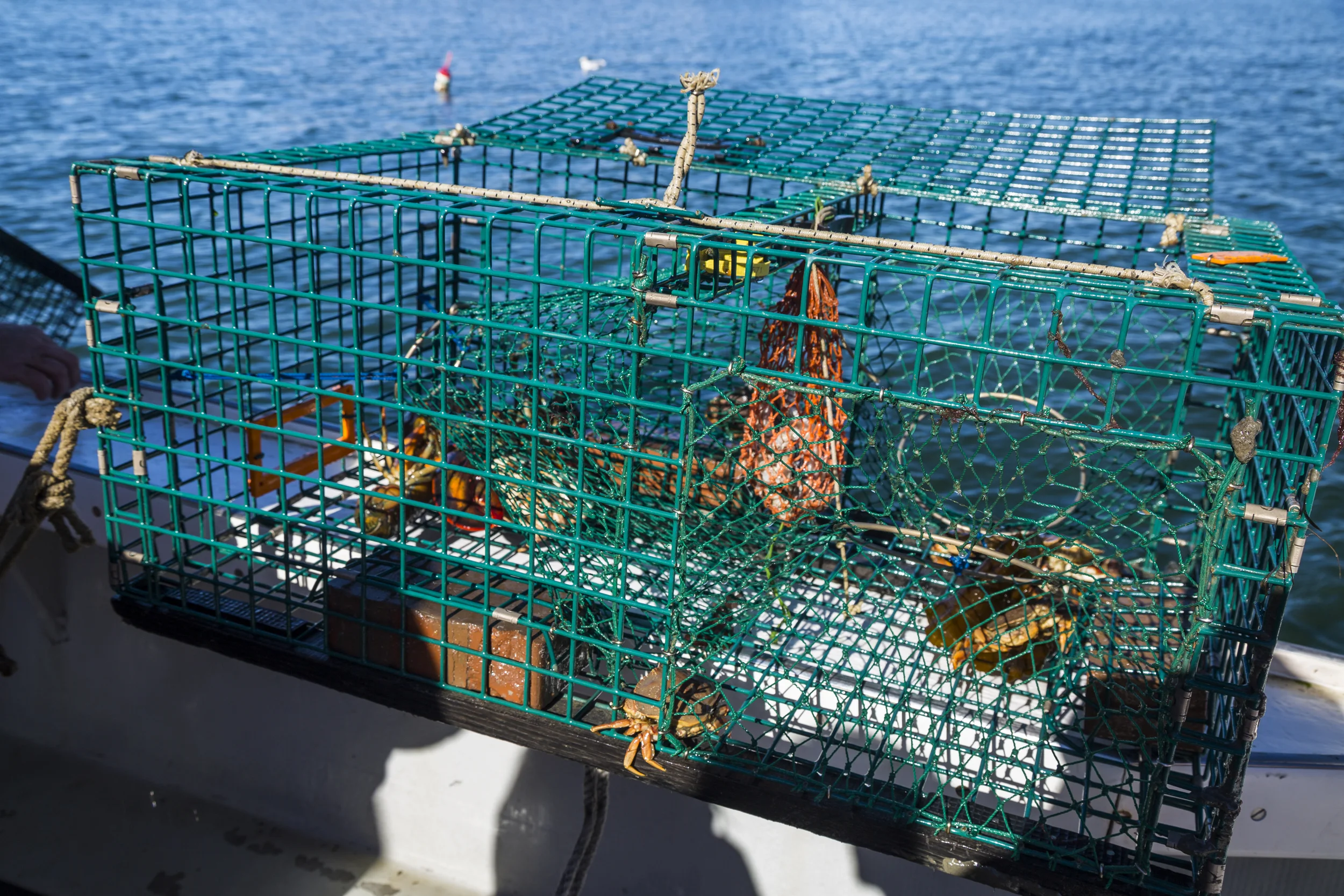 Maine - October 2015