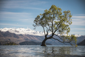 New Zealand-South Island