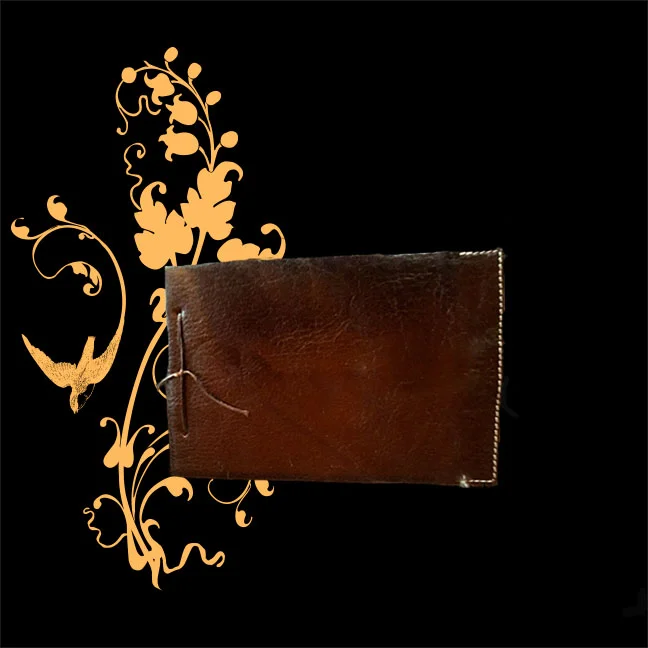 Nestor hide book2.jpg