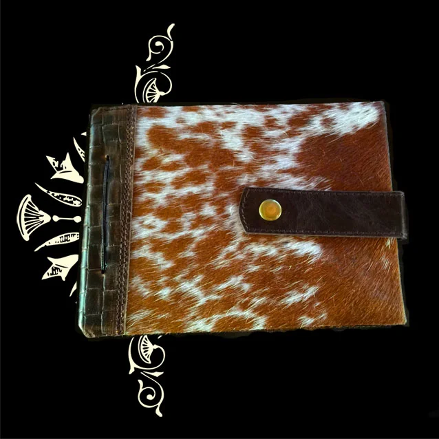 Nestor chronicle Medidi.jpg