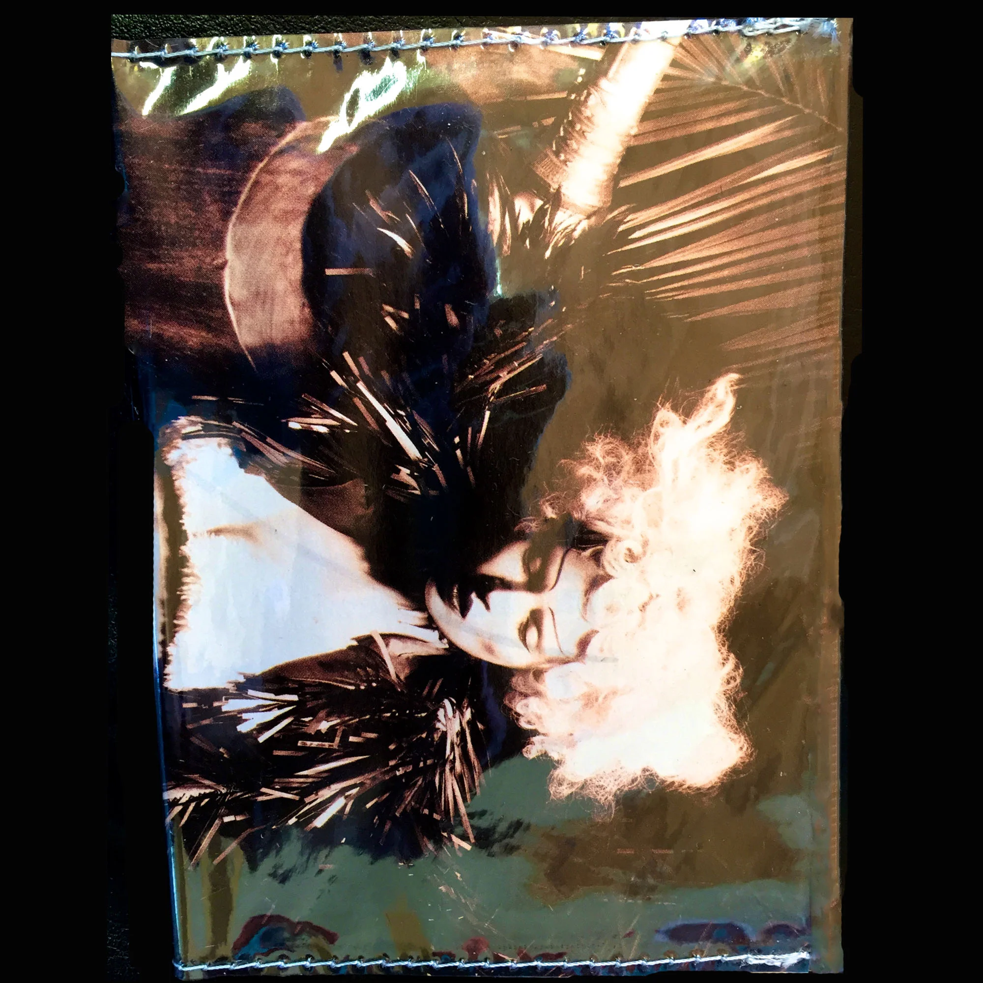 PB passport winged.jpg