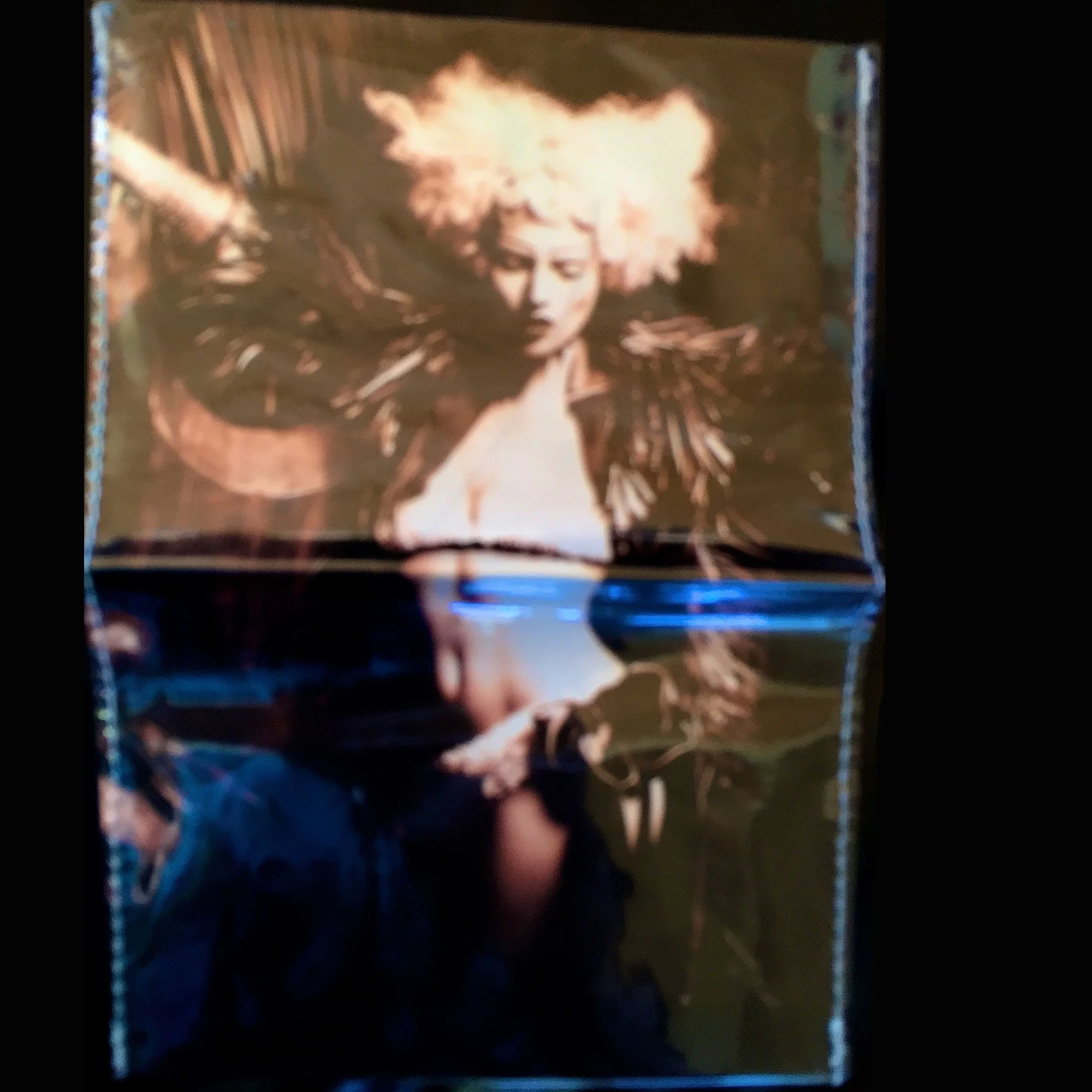 PB Passport winged 2.jpg