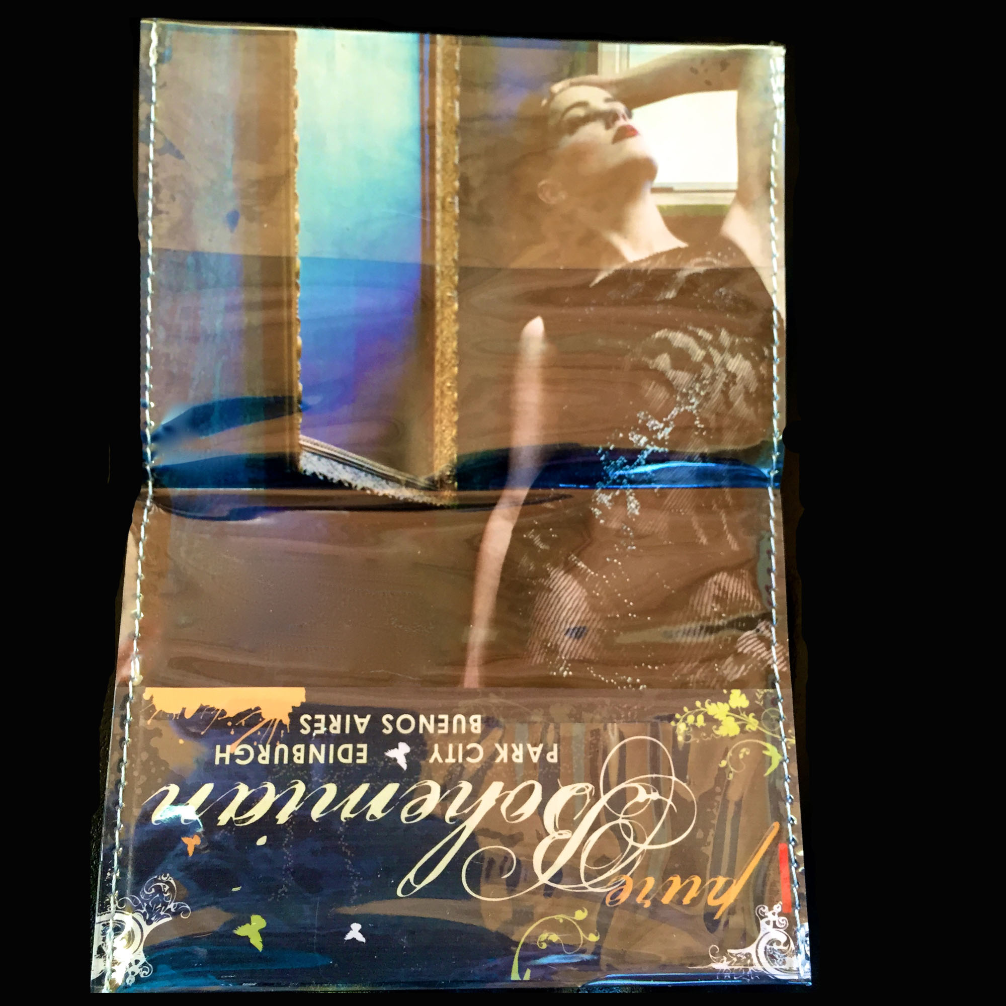 Pb Passport winged 3.jpg