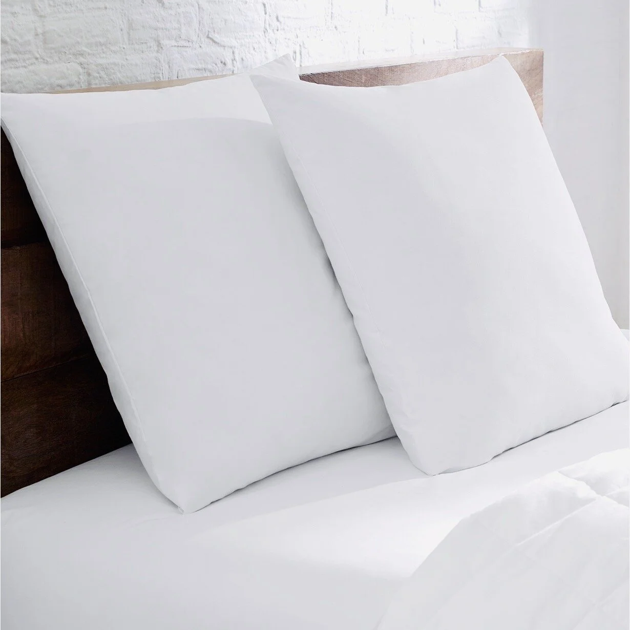 Euro Pillow Fill.jpeg