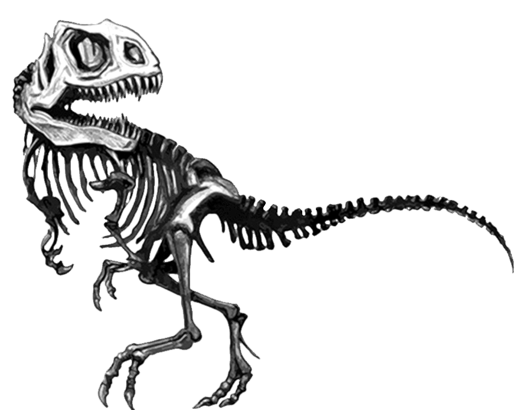 Untitled-2.png