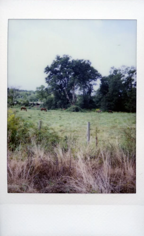 Jasper, Georgia, 2014 