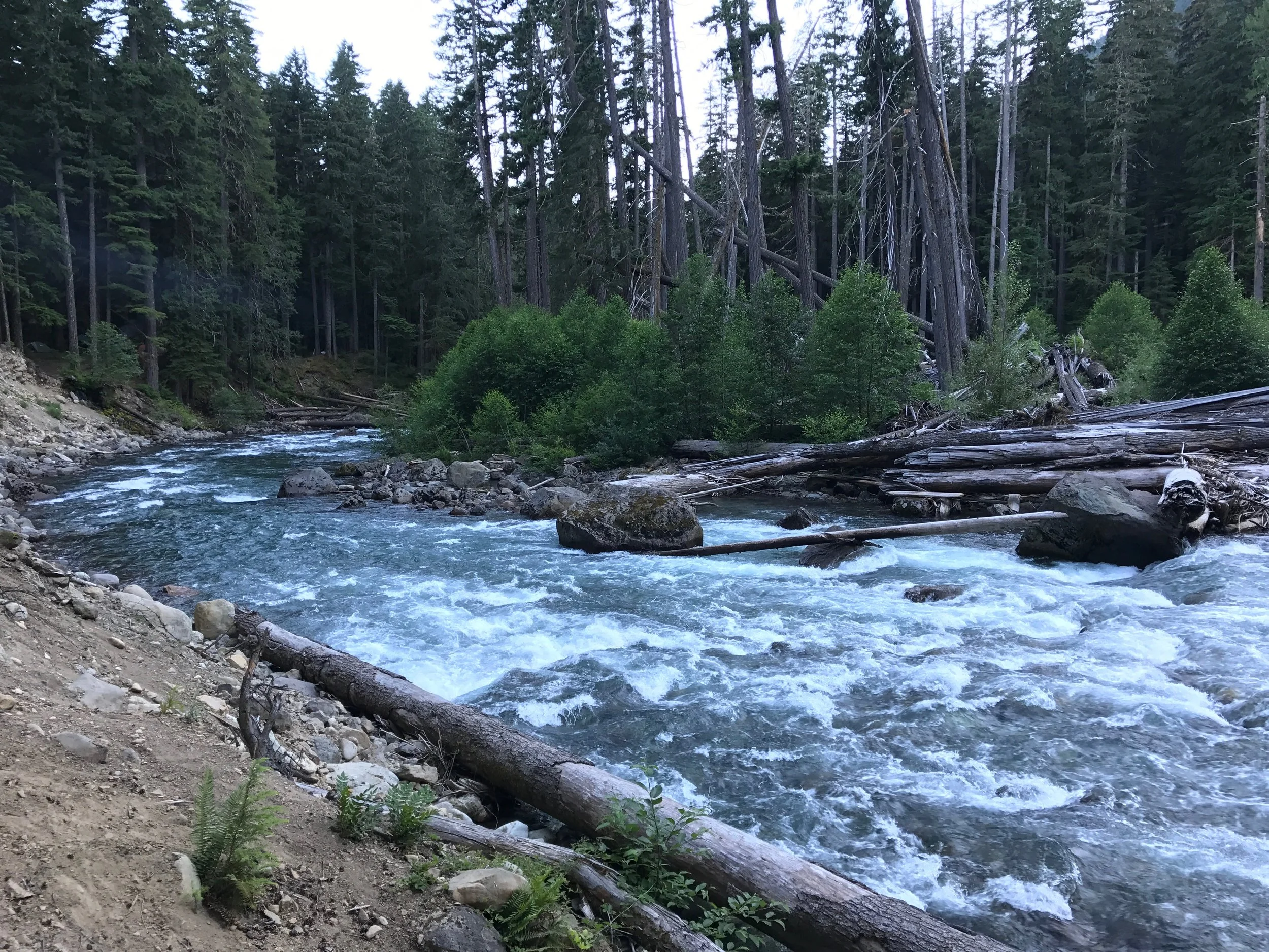 Mount Rainier National Park, Washington 