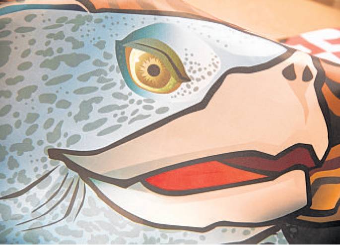 Close up of Citizen pride's maryland terrapin house flag. --Photo by Josh Mckerrow.