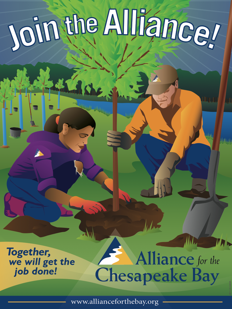 ALLIANCE'S forest restoration, art by joe barsin