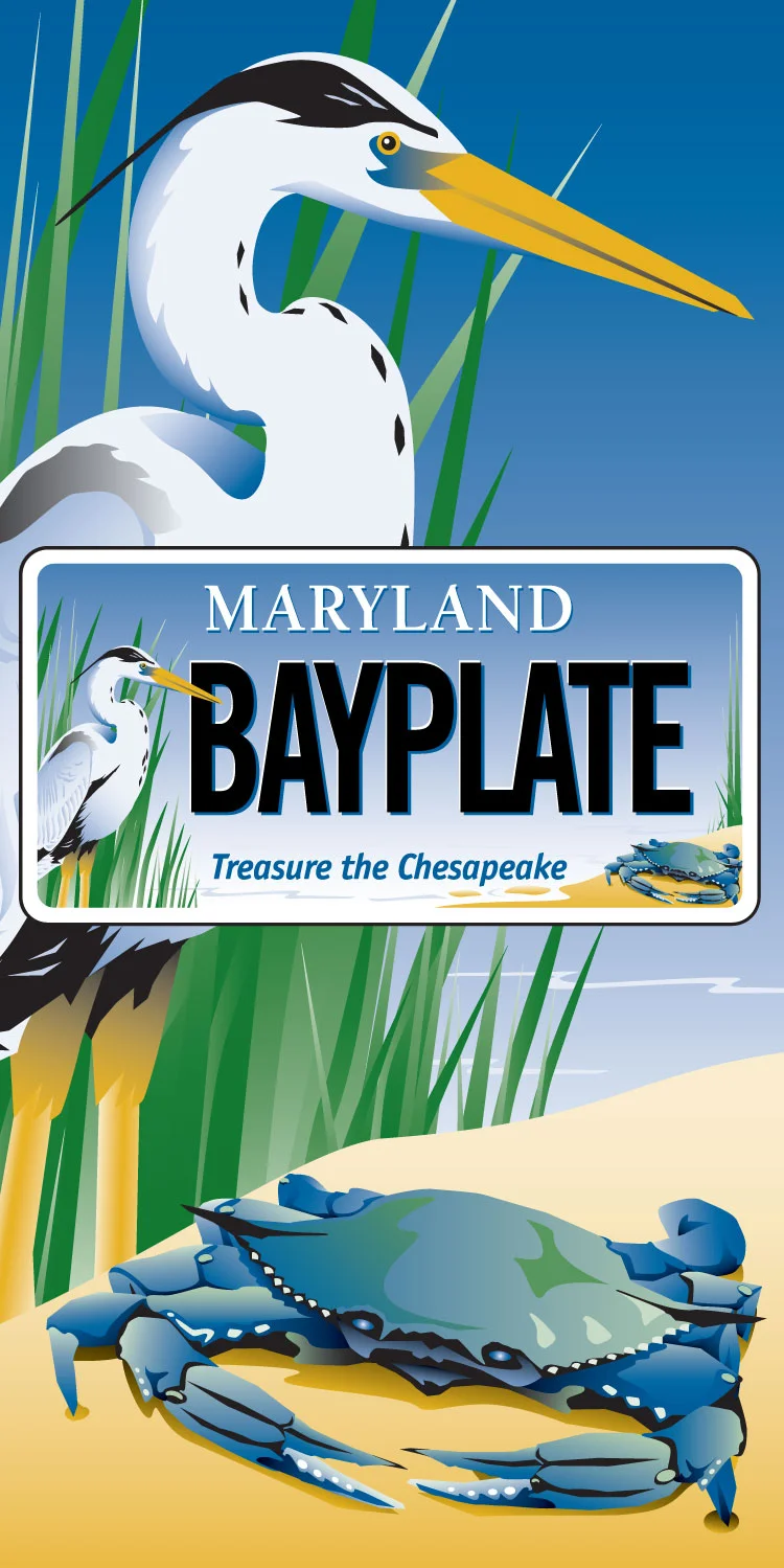 Bayplate_board.jpg
