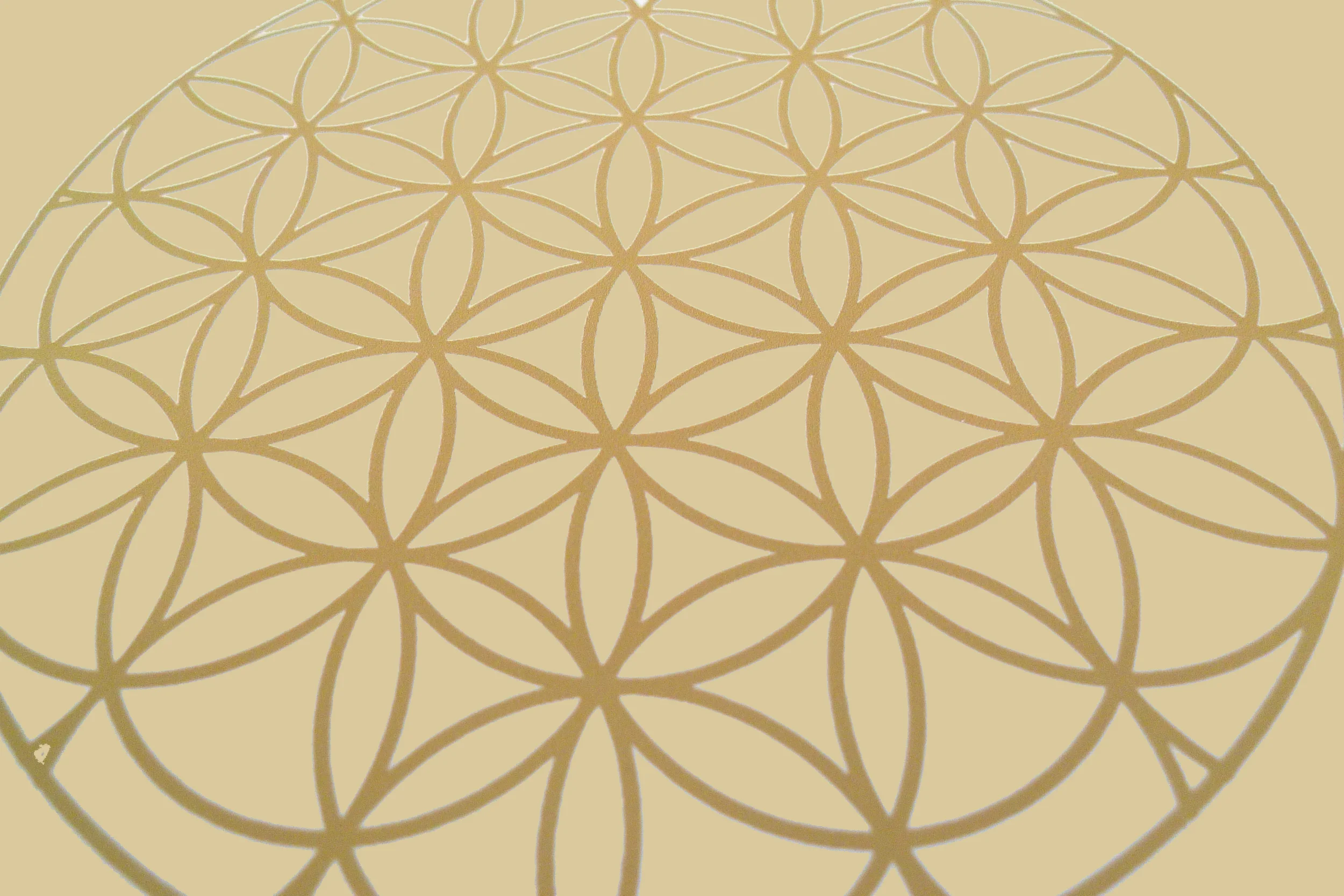 Flower of Life 1 gold.jpg
