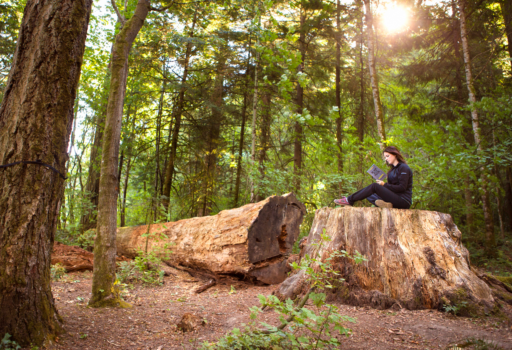 Nicole reading Black Hole Focus, by Isaiah Hankel at our campsite at the Eagle Creek Campground