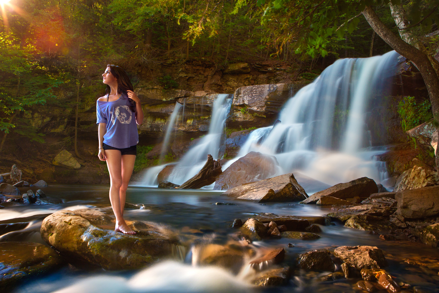 Tentree_04.jpg