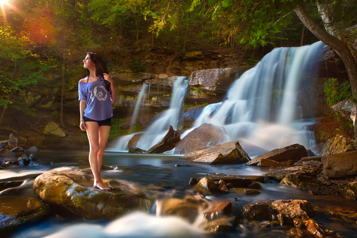 Tentree_04.jpg