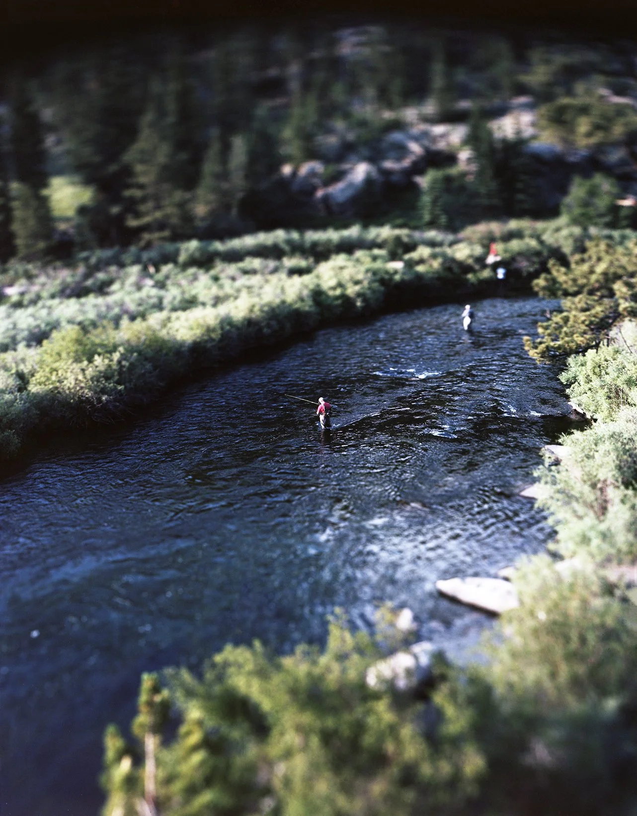 Elevenmile Canyon