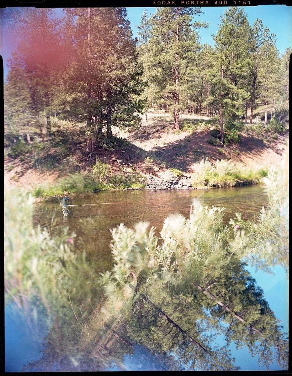 Cheesman Canyon
