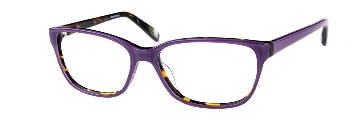 EC-Liz-Purple-tortoise.jpeg