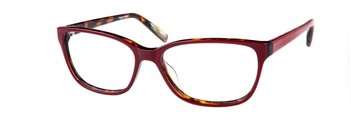 EC-liz-red-tortoise.jpeg