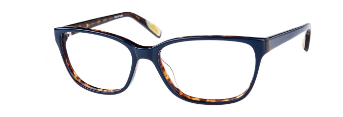 EC-Liz-Blue-tortoise.jpeg