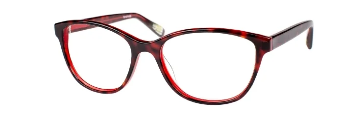 ec-margaret-red-tortoise.jpeg