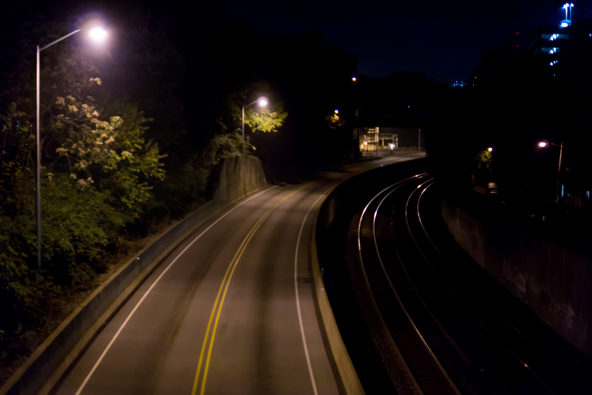 DSC03988-October 15, 2013-Backup.jpg