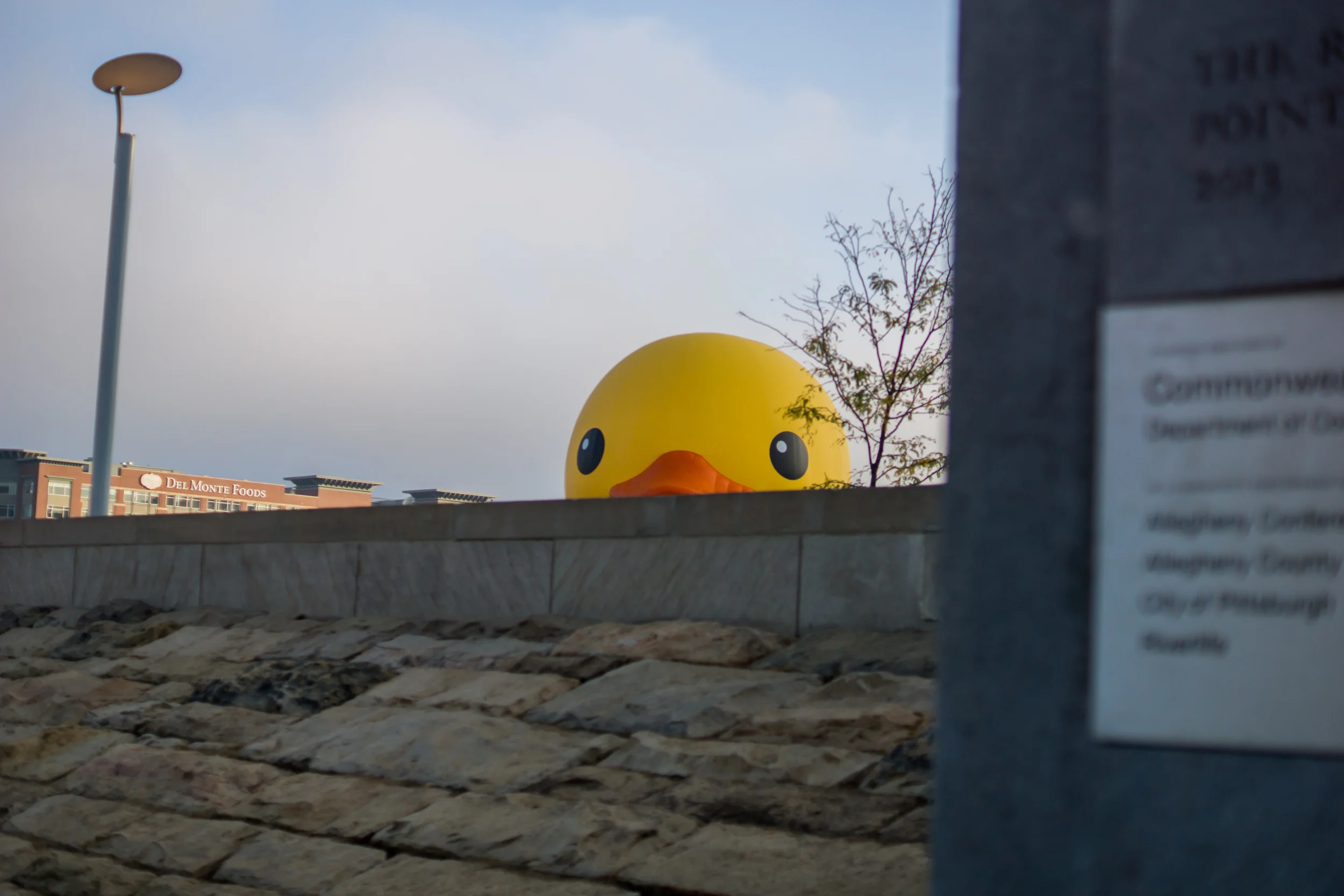 DSC04048-October 15, 2013-Backup.jpg