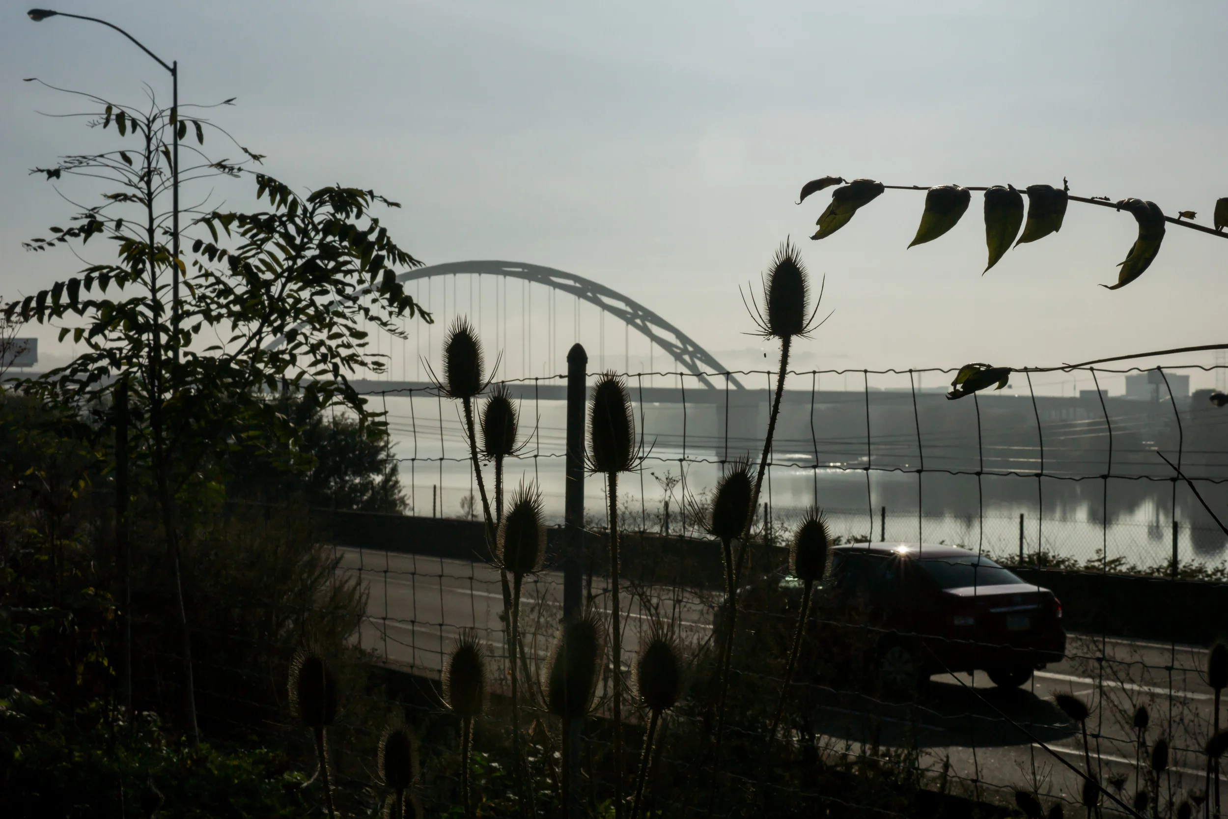 DSC04069-October 15, 2013-Backup.jpg