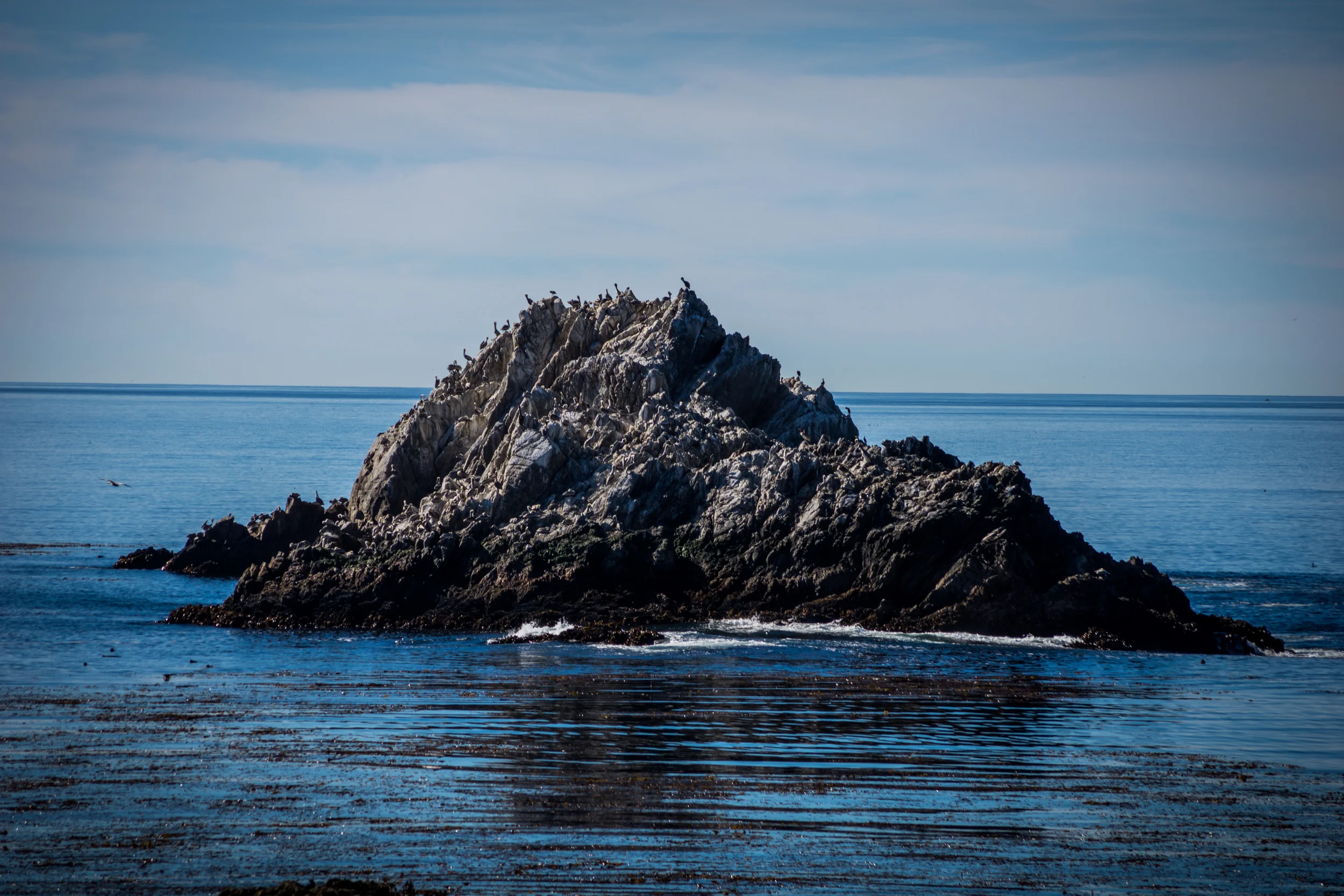 DSC04666-November 25, 2013-Backup.jpg